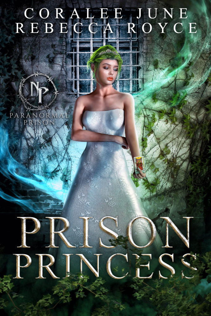 Prison Princess by CoraLee June & Rebecca Royce Blog Tour Review