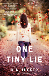 One Tiny Lie cover