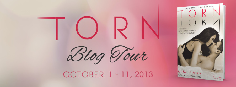 TORN Blog Tour Banner