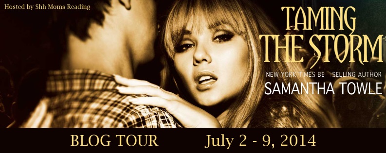 Blog Tour and Giveaway: Taming the Storm (The Storm #3) by Samantha Towle