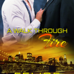 Review and Giveaway: A Walk Through Fire by Felice Stevens
