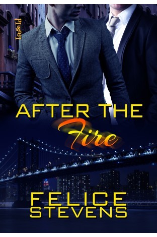 Review: After the Fire (Through Hell and Back #2) by Felice Stevens