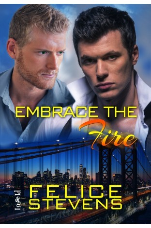 Review: Embrace the Fire (Through Hell and Back #3) by Felice Stevens