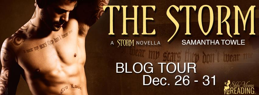 Blog Tour Review and Giveaway: The Storm (The Storm #3.5) by Samantha Towle