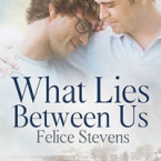 Review: What Lies Between Us (The Breakfast Club #4) by Felice Stevens