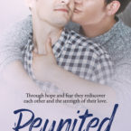 Review of Reunited by Felice Stevens