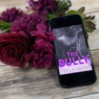 The Bully by Willa Nash